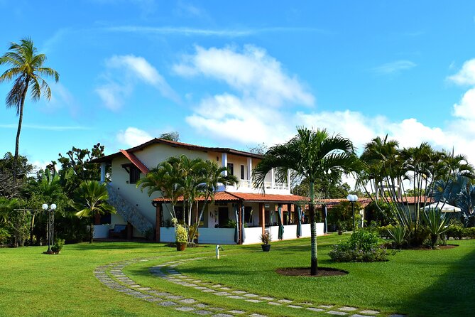 Capoeira Camp Salvador Da Bahia (1 Week) - Meeting Point