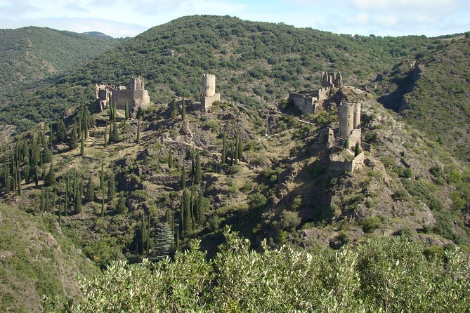 Carcassonne and Albi Private Sightseeing Tour From Toulouse - Booking Details and Price
