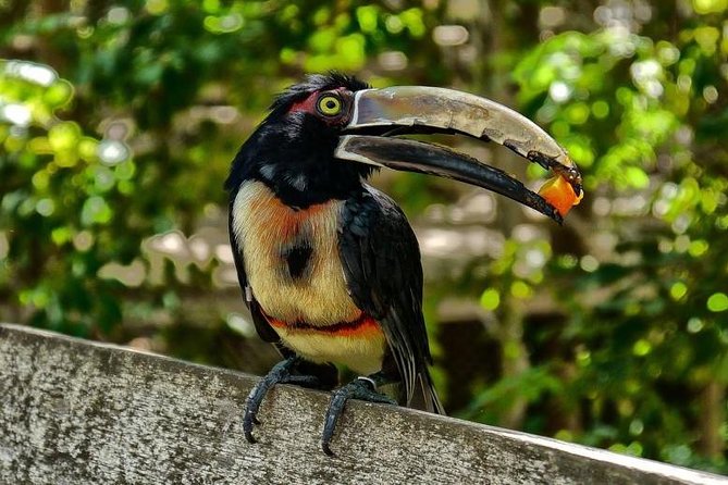 Cartagena Private Aviary Tour - Pricing and Cancellation Policy