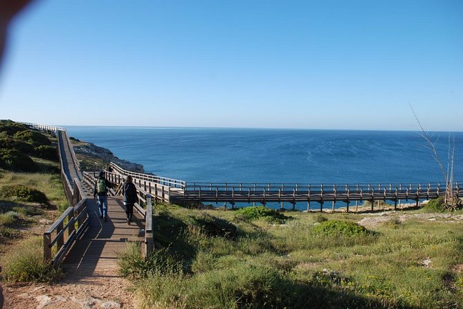 Carvoeiro: Walking Close To Nature In The West Algarve (Self-guided) - Experience Local Culture and Cuisine