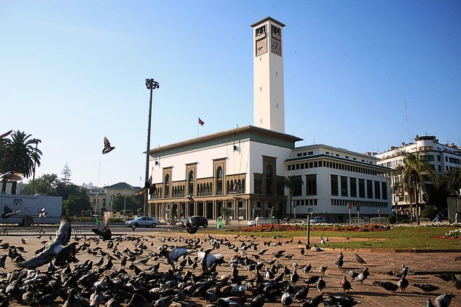 Casablanca Shore Excursion: Private Half-Day Sightseeing Tour - Pricing and Payment Options