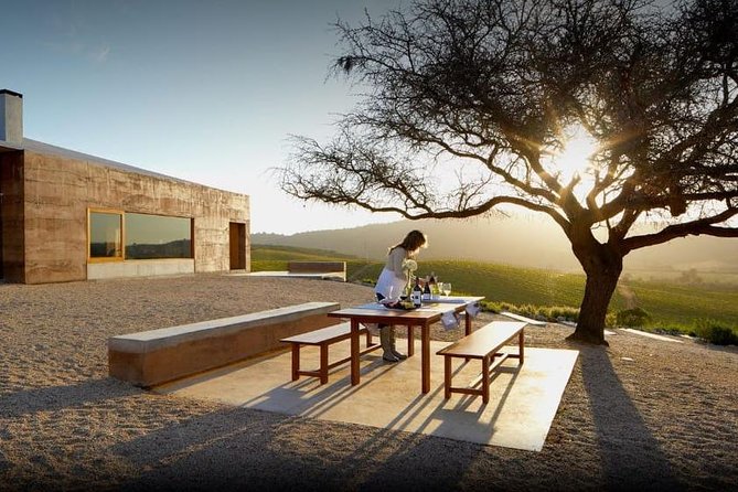 Casas Del Bosque Vineyard Tour