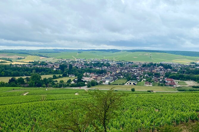 Chablis Wine Tastings Delights by Maison Regnard & J.M. Brocard - Booking Information