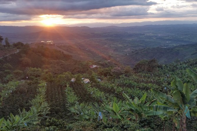 Charming Villages and Speciality Coffee - Explore Enchanting Village Life