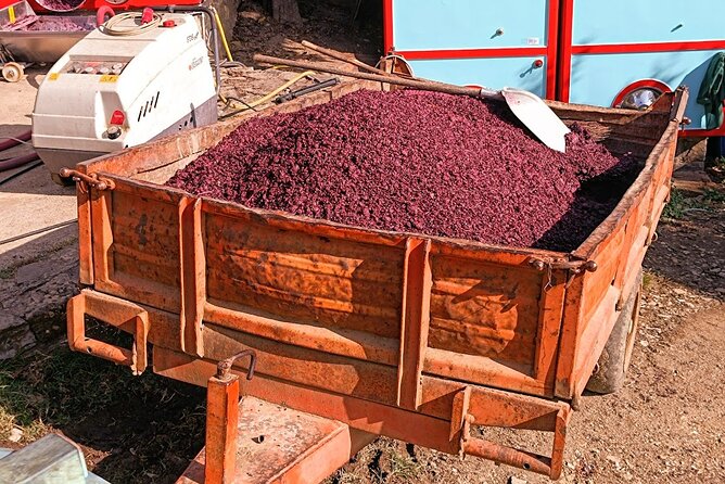 Chianti Classico Black Rooster and Super Tuscan Wine Tour - Expert Guided Tastings