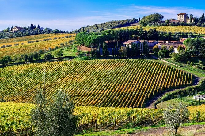 Chianti Vespa Tour - Requirements and Restrictions