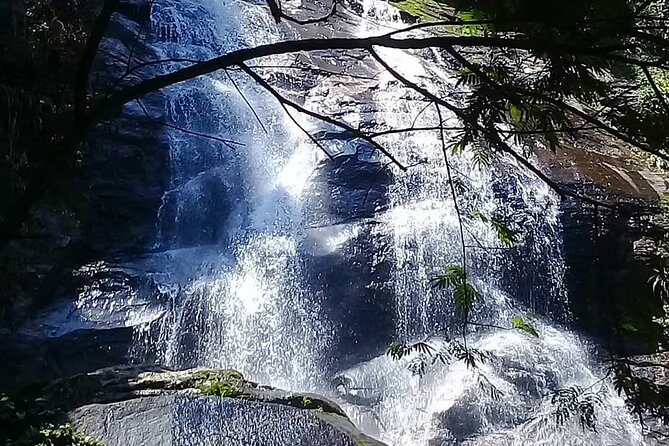Chinese View and Tijuca Forest - Transport + Tour Guide - Important Booking Information