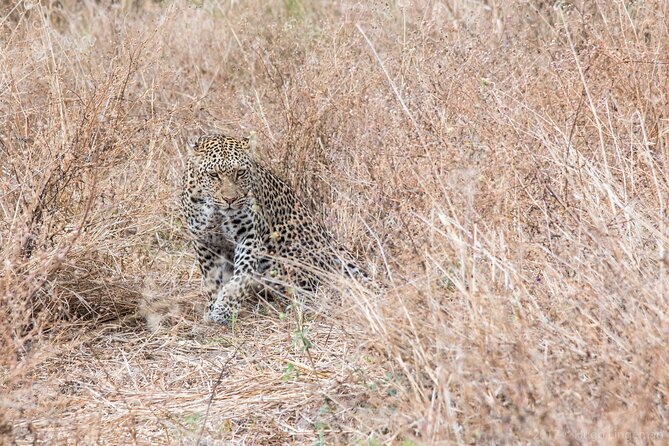 Chobe National Park 3 Days / 2 Nights - Meeting and Pickup Points