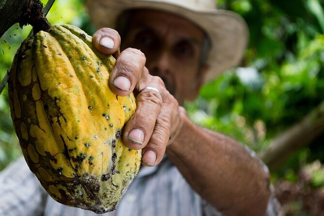 Chocoserrano Chocolate Tour 1 Day -- Santa Marta - Tour Overview