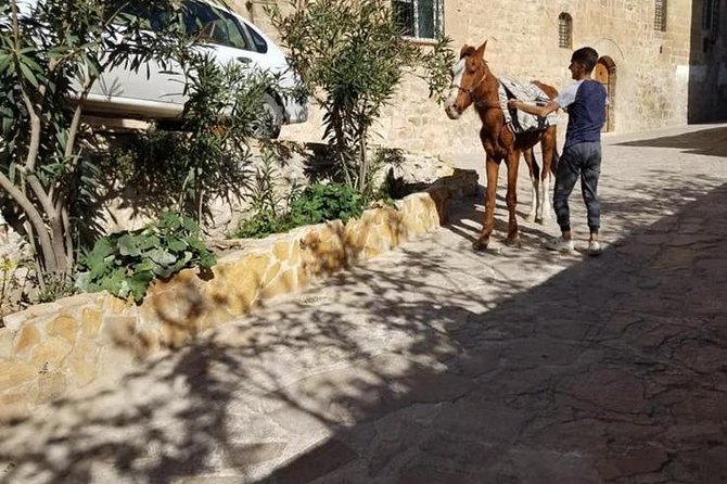 City Tour ıN Mardin - The Sum Up