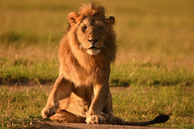 Classic Kenya Explore Safari 2022 - Additional Notes