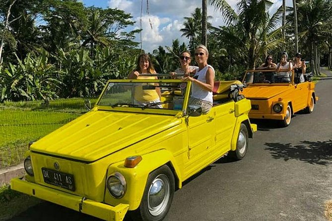 Classic Volkswagen Safari & Village Tour - Pricing Information