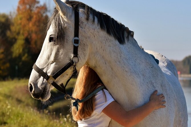 Coaching With Horses in Buenos Aires, Argentina