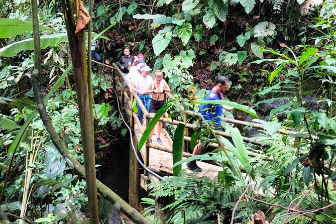 Cocoa and Chocolate Tour in San Rafael From Medellín - Highlights