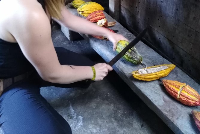 Cocoa Profesional 2 Days/1 Night Tour: Farm Experience in the Jungle of Cusco - Participation Requirements