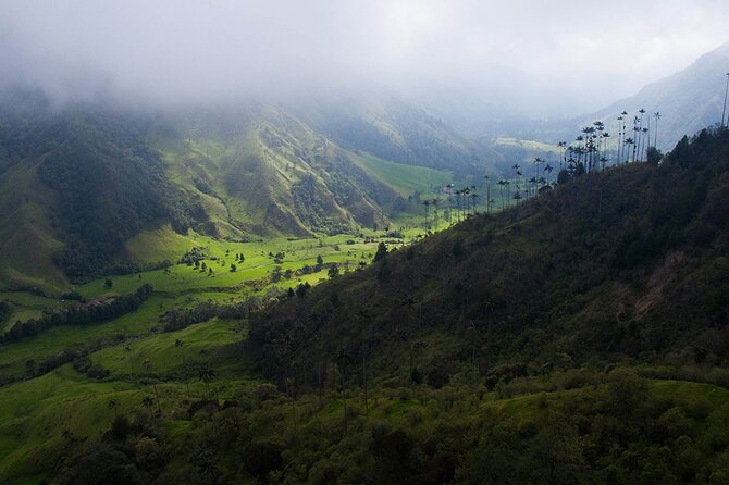 Cocora Valley and Salento Hike Tour - Essential Packing List