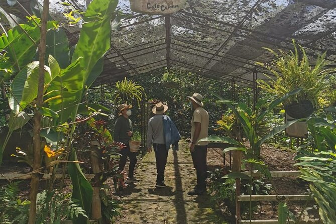 Coffee Farm - Group Tour and Daily Departure - Tour Highlights