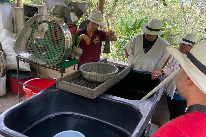 Coffee Farmer for a Day With Lunch Included - Additional Information