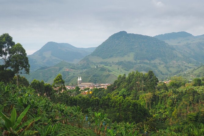 Coffee Plantation Private Tour in Medellín - Pricing and Booking Information
