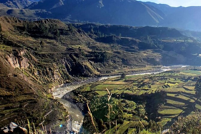 Colca Canyon Full Day Exploration - Tips for a Great Experience