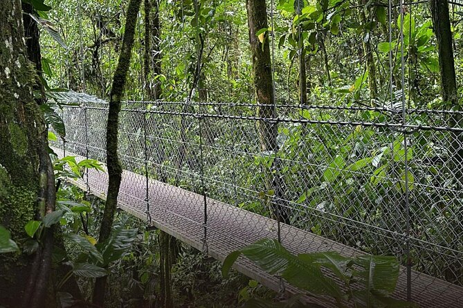 Combo Full Day La Fortuna - Tips for an Enjoyable Experience
