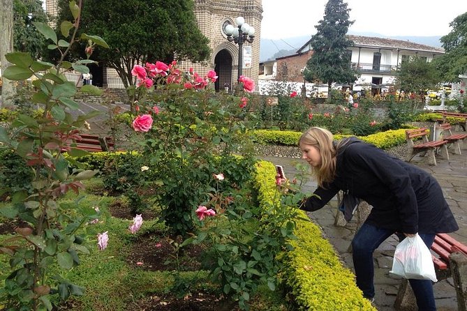 Combo Tour: Coffee and Christmas Lights Tour From Medellín - The Sum Up