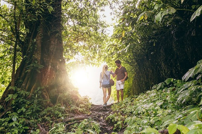 Costa Rica Adventure Package 10D/9N - Accessibility Features