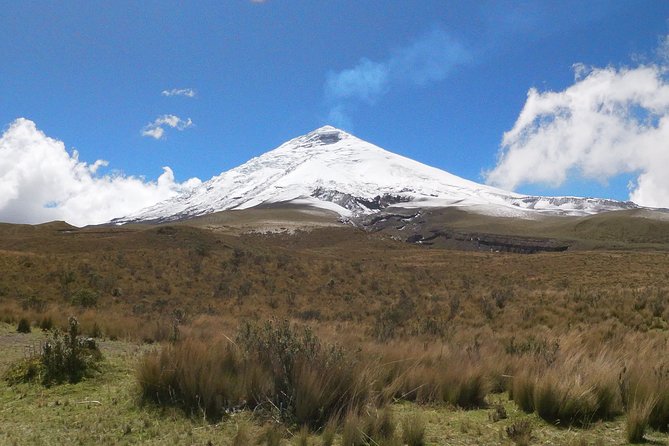 Cotopaxi Volcano PRIVATE Day Trip - Requirements
