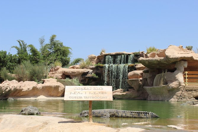 Croco Tour: Transfer to Crocoparc Agadir (Tickets Included) - Accessibility Features