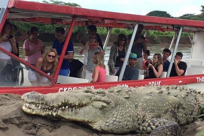 Crocodile Safari Expedition & Carara National Park. Private Tour - Tips for Travelers