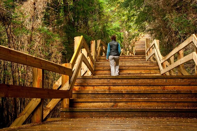 Crossing to Puerto Blest and Cascada De Los Cántaros - Itinerary and Schedule