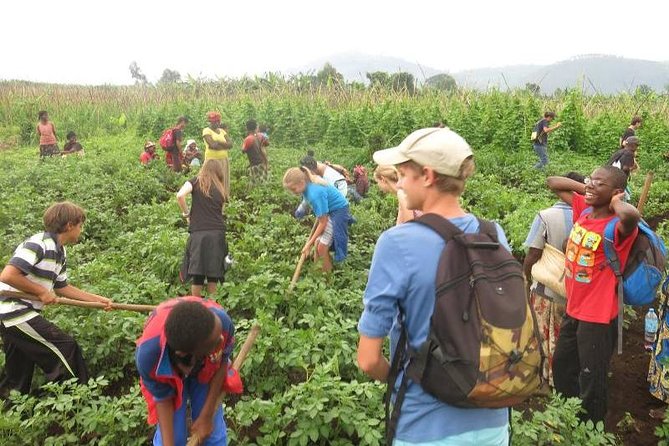 Culinary Tours & Banana Beer Tasting - Tour Details
