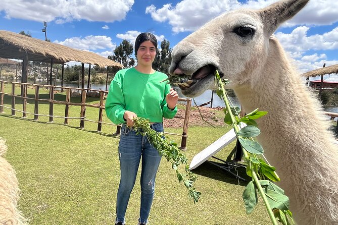 Cusco: Archeological Sites Tour and Forest Photo Experience - Transportation Details and Logistics