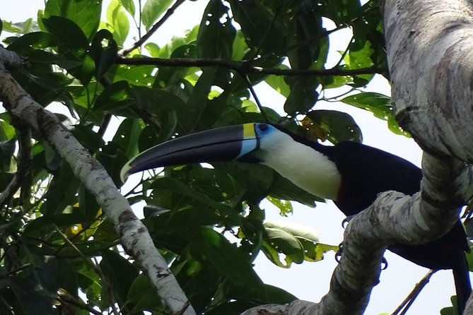 Cuyabeno Wild Reserve - Frequently Asked Questions