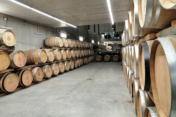 Dao Wine Route Experience, Full-Day From Coimbra - Pickup and Departure