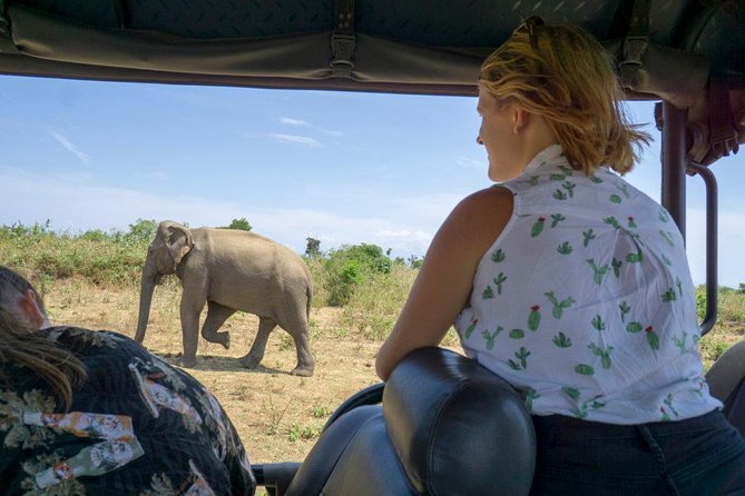 Day Excursions to Udawalawe From Bentota - Frequently Asked Questions