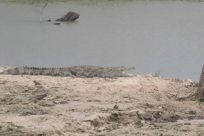 Day Excursions to Udawalawe From Kaluthara - Cancellation Policy