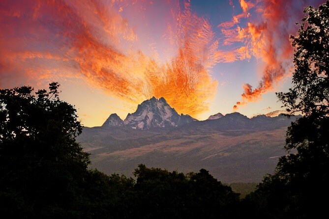 Day Tour in Mount Kenya From Nairobi With Lunch - Exclusions Information