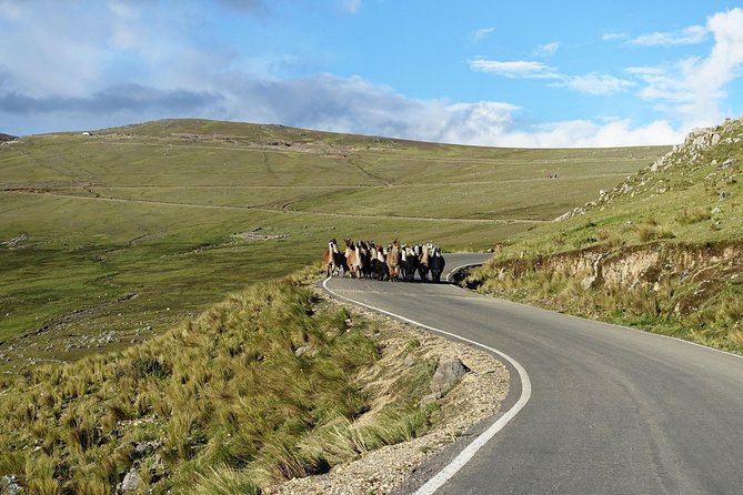 Day Tour Inca Hot Springs of Conoc & Saywite From Cusco - Booking Process