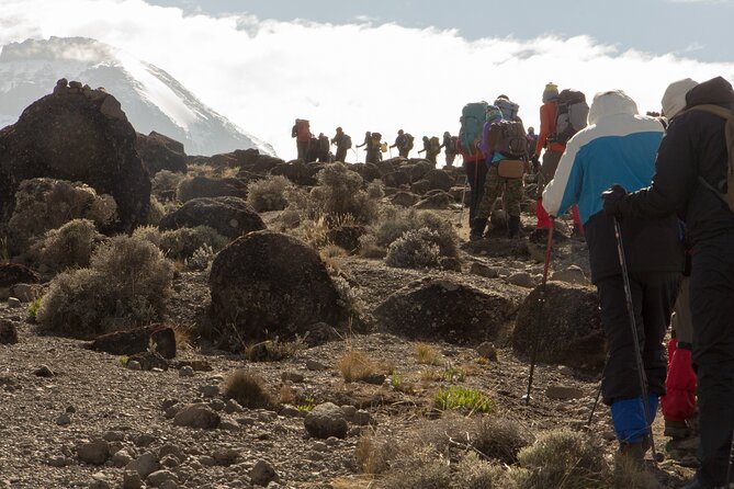 Day Tour Marangu Kilimanjaro - Cancellation Policy