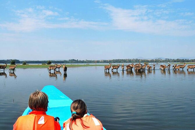 Day Tour of Lake Nakuru and Naivasha National Park From Nairobi - Additional Information