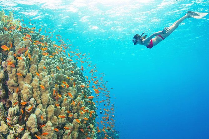 Day Tour On Yacht Included 2 Dive With Lunch At Hurghada - What to Expect