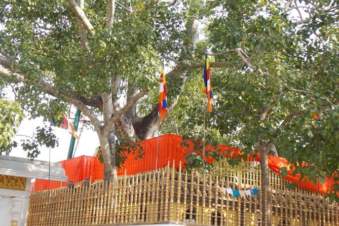 Day Tour to Aukana and Anuradhapura From Negombo - Accessibility and Special Needs