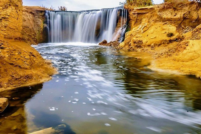 Day Tour To Fayoum Oasis From Cairo - Good To Know