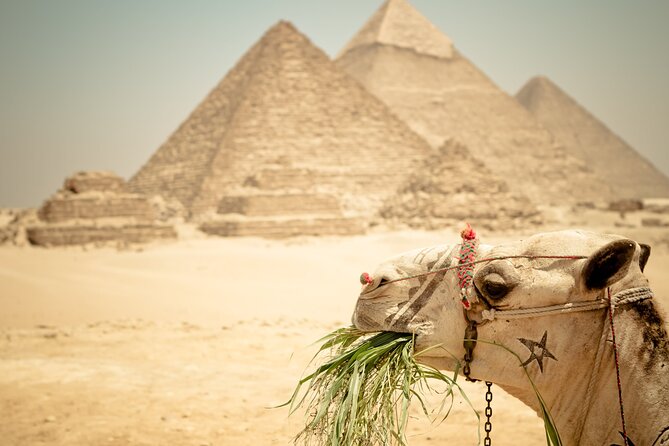 Day Tour to Giza Pyramids Memphis, Dahshur and Saqqara Pyramids - Accessibility and Recommendations