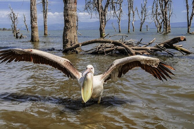 Day Tour to Hells Gate and Optional Boat Ride at Lake Naivasha - Directions