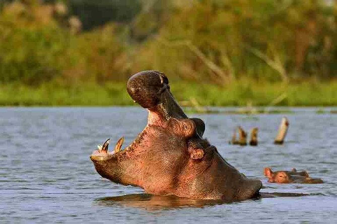 Day Tour to Hells Gate, Lake Naivasha and Crescent Island Walk - Price and Availability