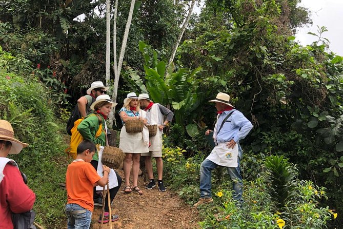 Day Tour to Medellin, Country Side and Coffee Region - Must-See Attractions