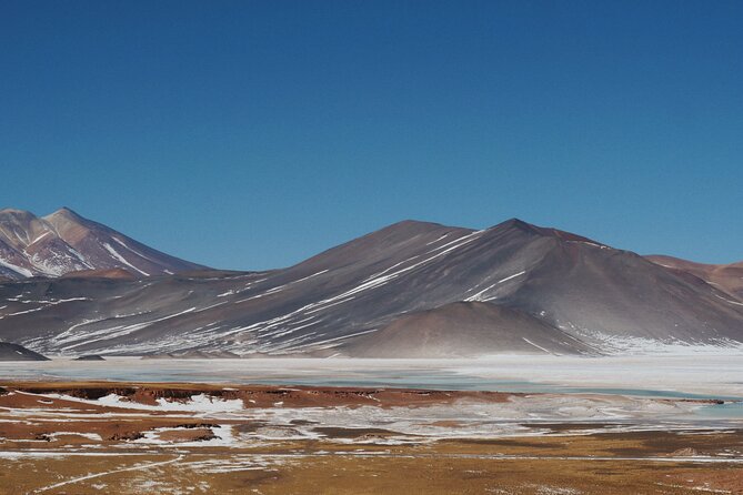 Day Tour to Piedras Rojas and Altiplanic and Chaxa Lagoons