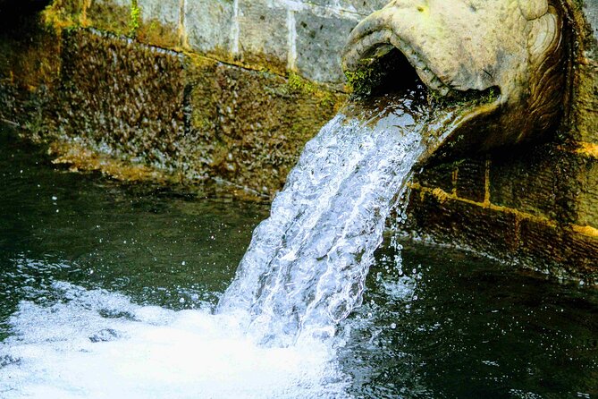 Day Trip From Dharamshala to Namgyal Monastery - Tour Guide Information